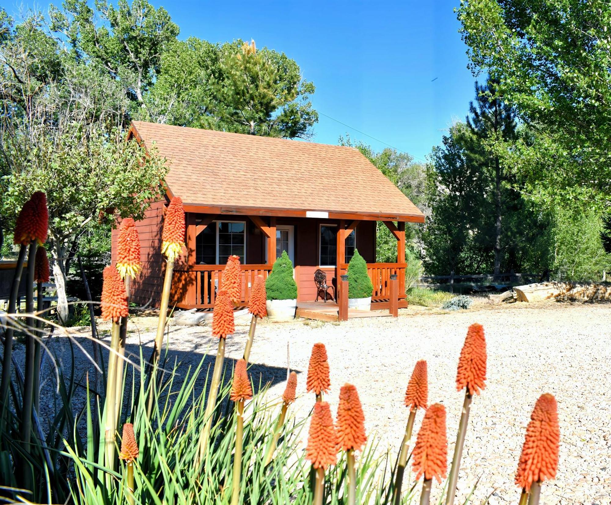 Вилла Arrowhead Country Cabins Маунт-Кармел Экстерьер фото